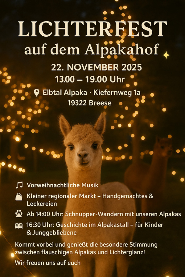 Lichterfest 2025 11 22